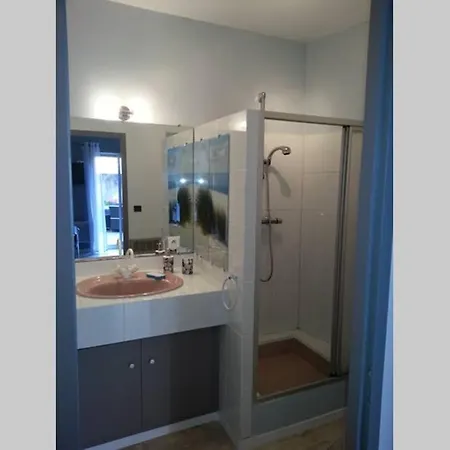 Apartment Le Porte Verrier - Meuble Classe 3Etoiles - Hypercentre - Terrasse 30M2, Vue Parc *