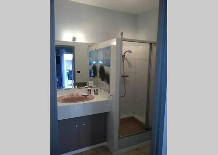 Апартаменты Le Porte Verrier - Meuble Classe 3etoiles - Hypercentre - Terrasse 30m2, Vue Parc *